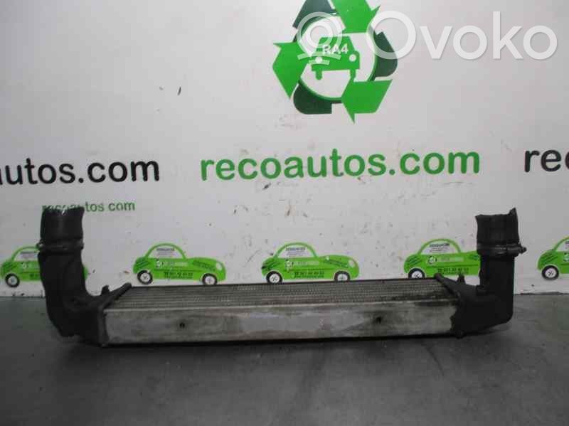 Radiador intercooler   17512246795