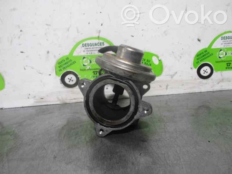 Seat Ibiza III (6L) Supapă EGR 