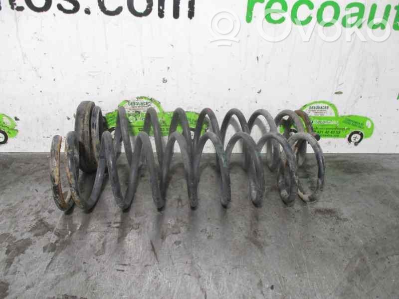 Front coil spring