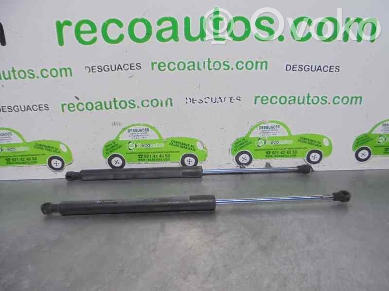 Renault Clio III Ammortizzatore portellone posteriore/bagagliaio 