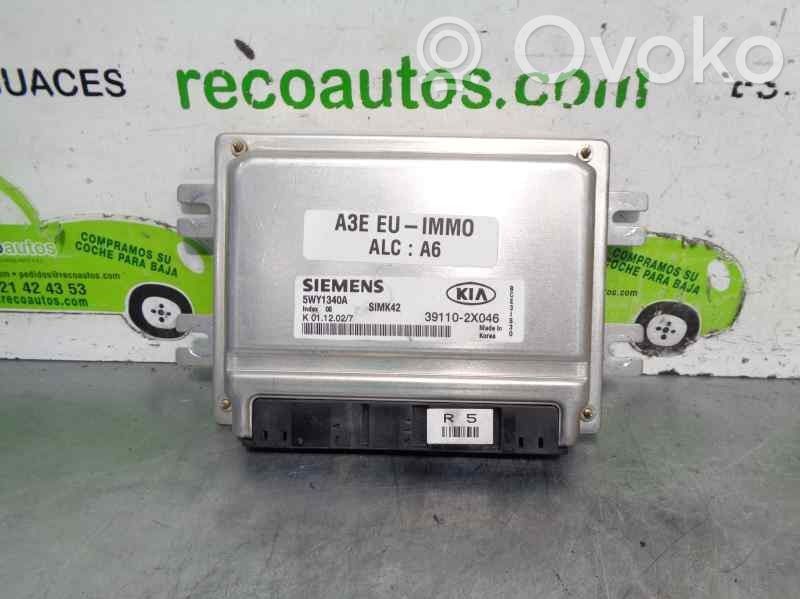 Engine control unit/module   391102X046,5WY1340A,SIEMENS