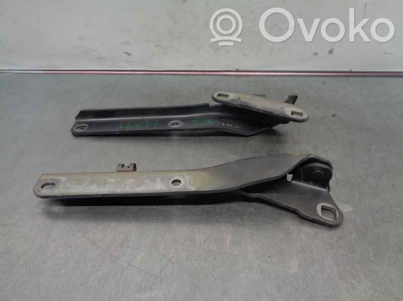 Citroen C6 Konepellin saranat 