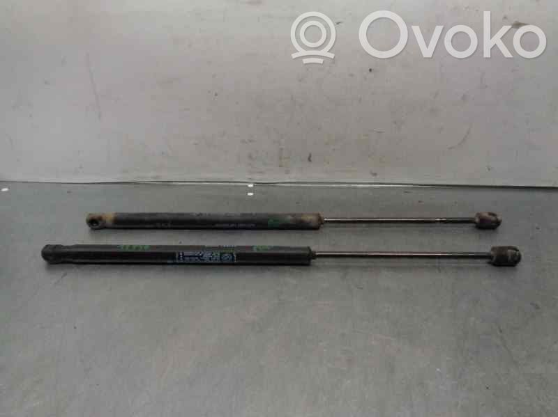 Lancia Ypsilon Tailgate/trunk strut/damper 