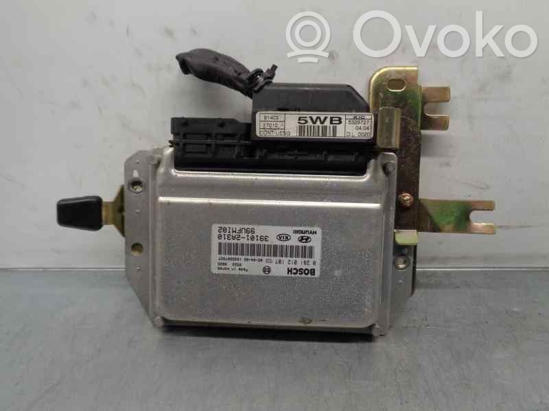 Hyundai Matrix Engine control unit/module 