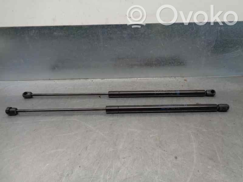 Ford Fiesta Tailgate/trunk strut/damper 
