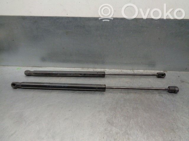 Dodge Caliber Tailgate/trunk strut/damper 