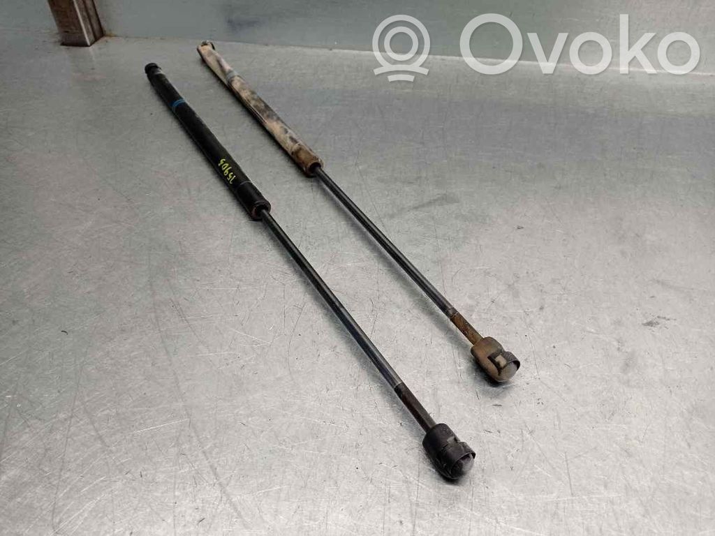 Ford Fiesta Tailgate/trunk strut/damper 