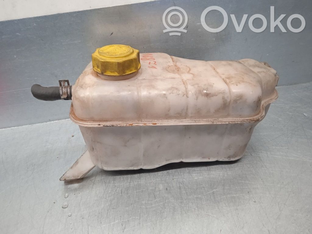 Ford Fiesta Vaso di espansione carburante