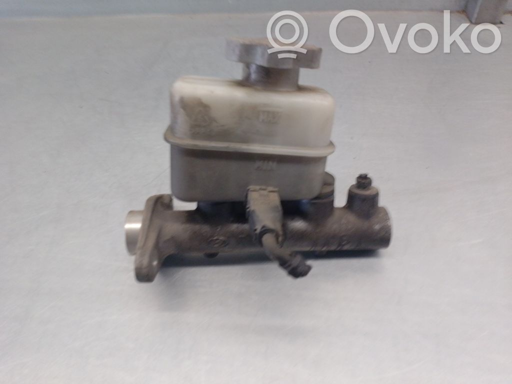 Hyundai Santa Fe Servo-frein