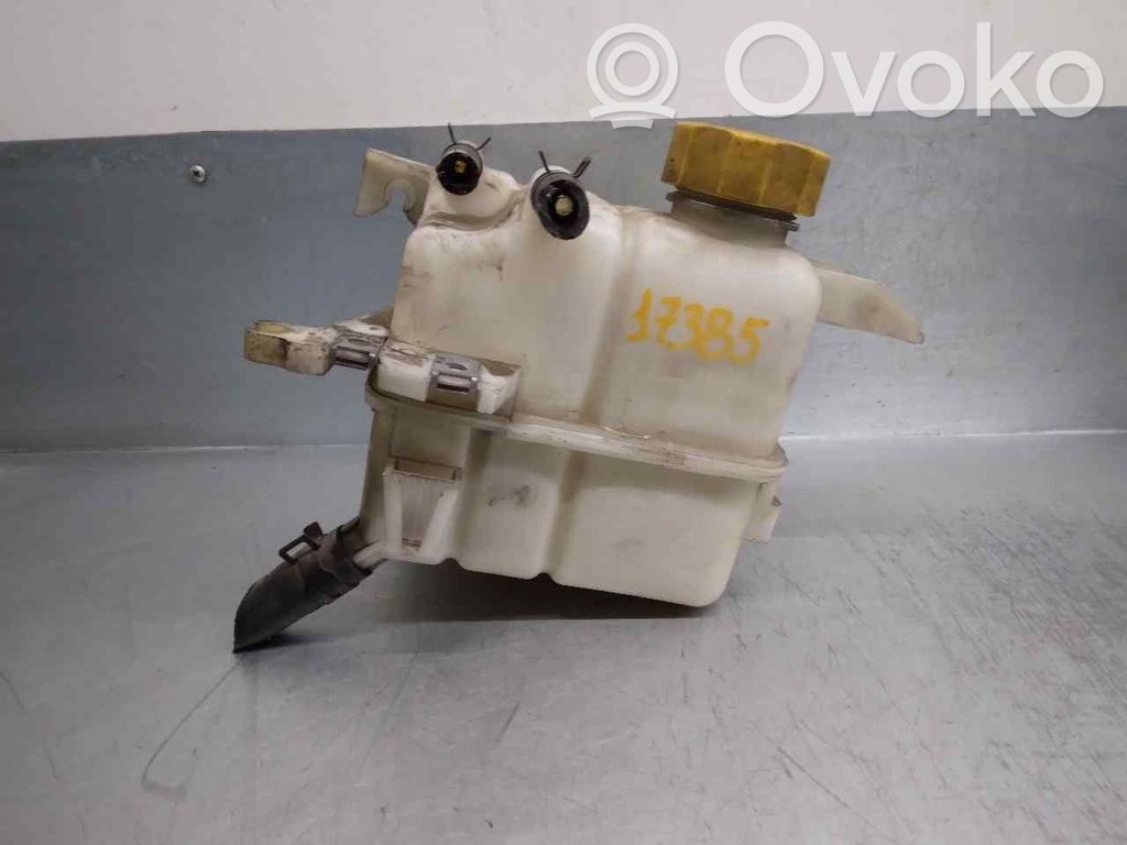 Chevrolet Captiva Vas expansiune combustibil 