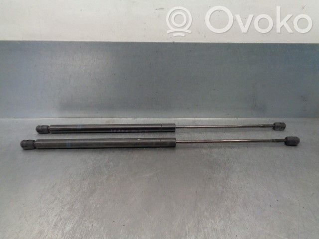 Ford Fiesta Tailgate/trunk strut/damper 