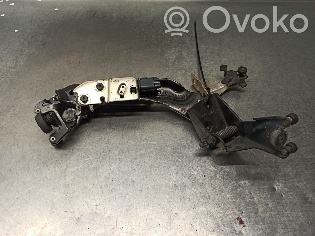 Tailgate/trunk/boot hinge   4125512