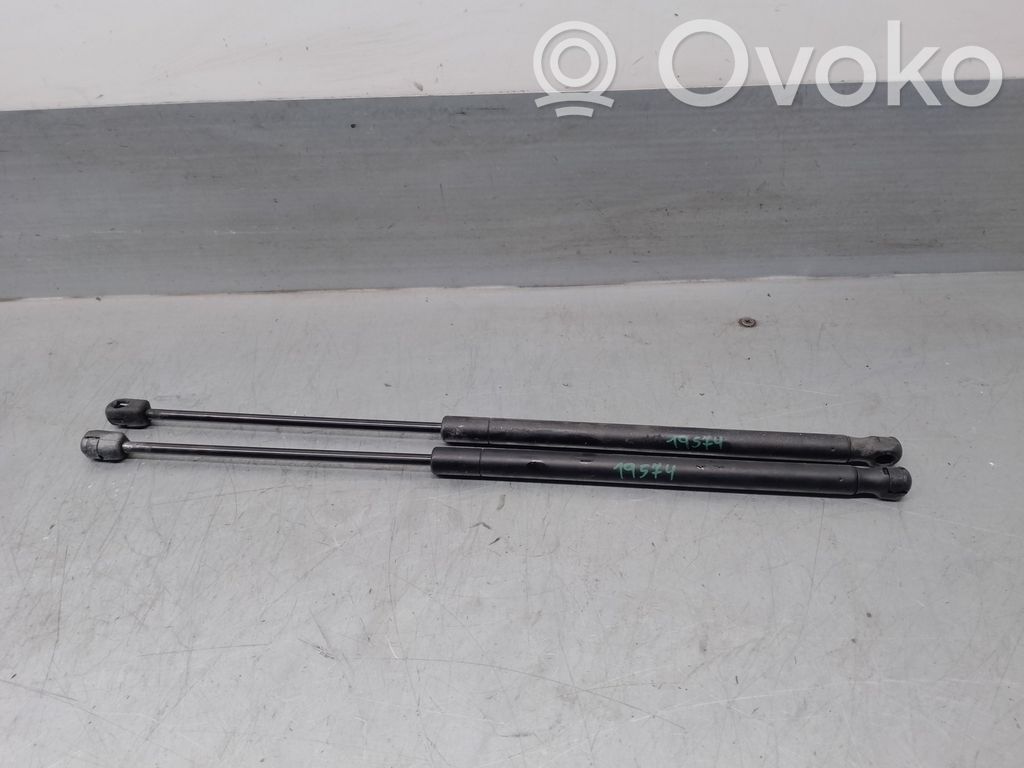 Renault Modus Amortizor hayon
