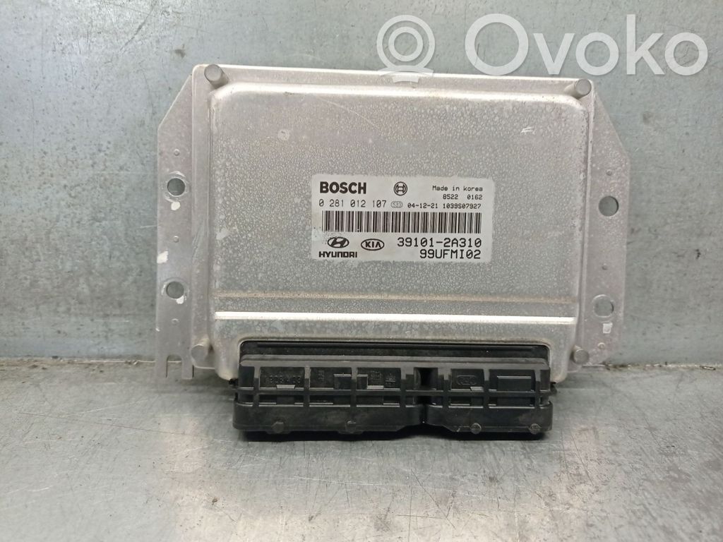 Hyundai Matrix Engine control unit/module 