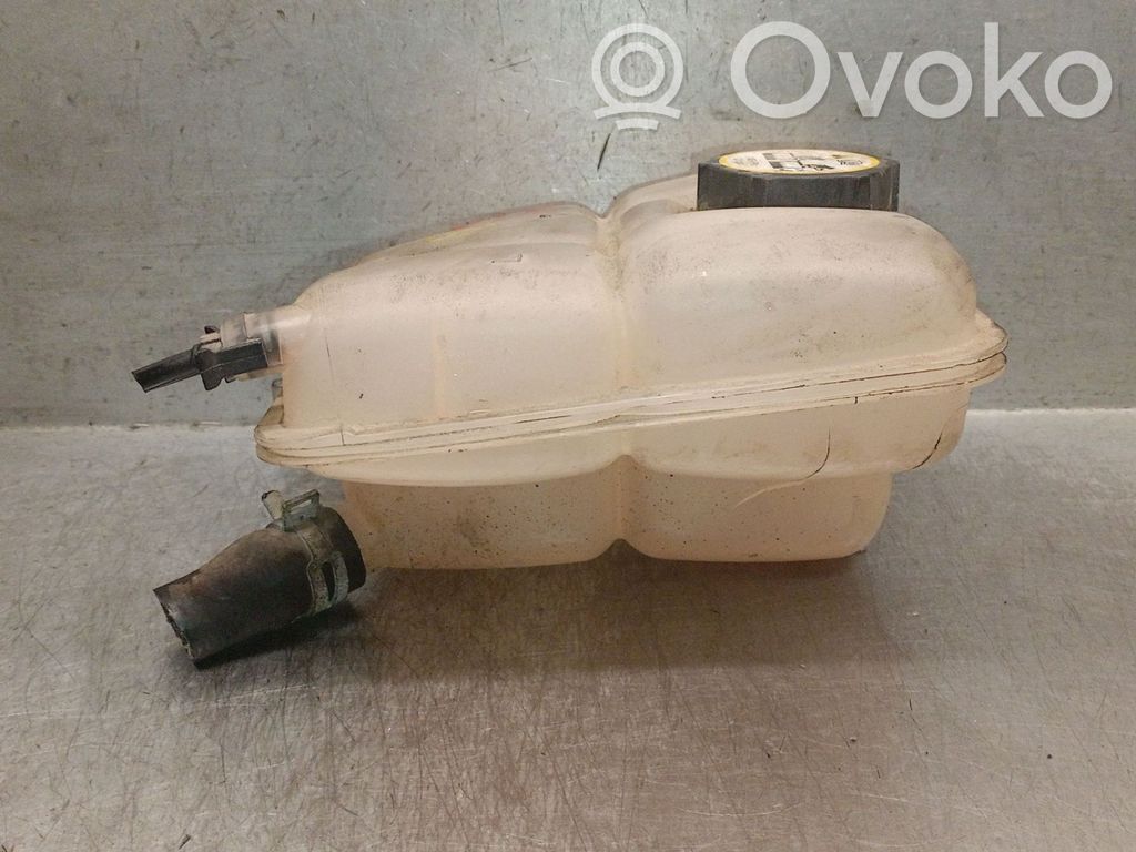 Ford Focus Kuro išsiplėtimo bakelis 