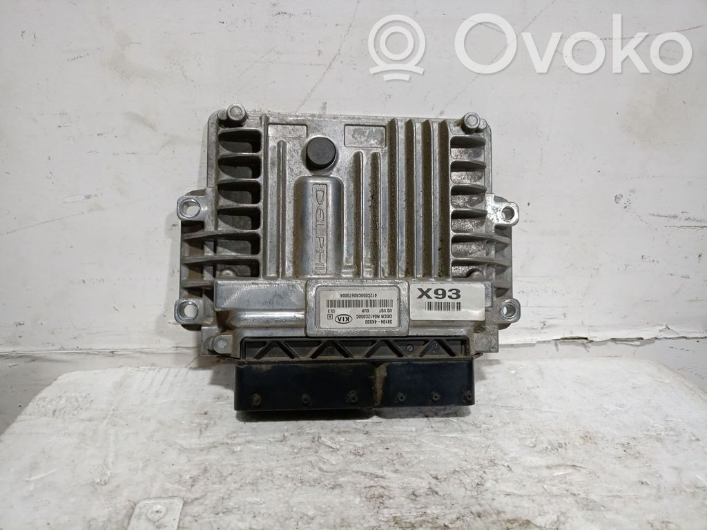 KIA Carnival Engine control unit/module 