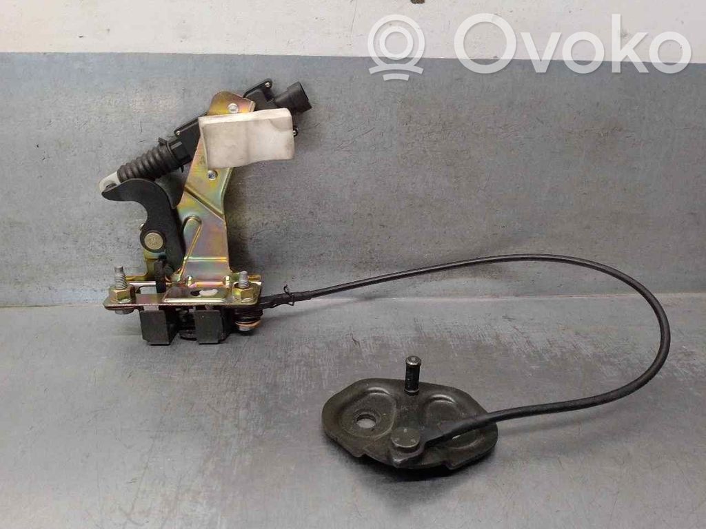 Citroen C3 Spyna galinio borto 
