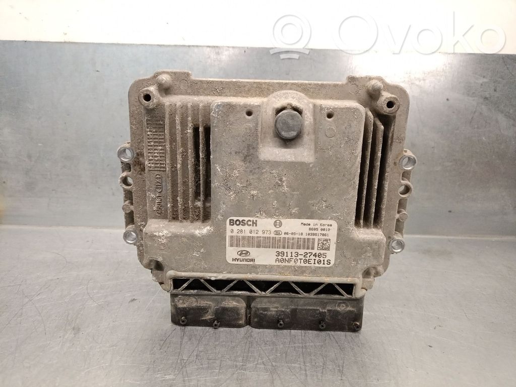 Unidad de control/módulo del motor   3911327405,0281012973BOSCH