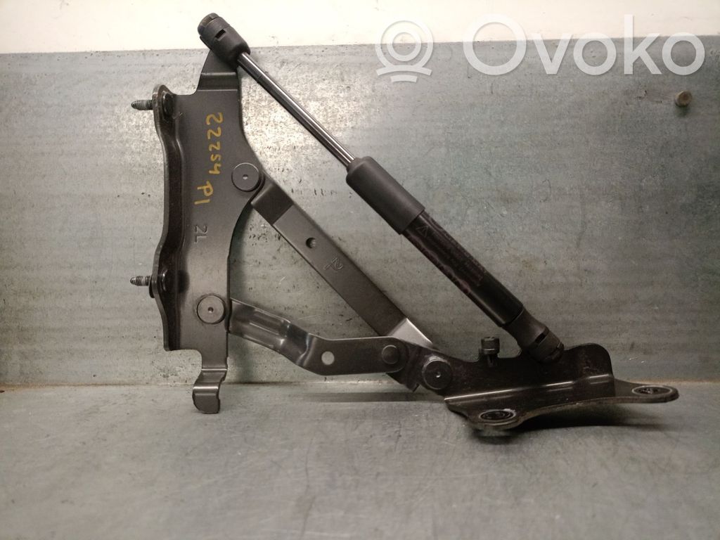 Tailgate/trunk/boot hinge   N24856930,383379