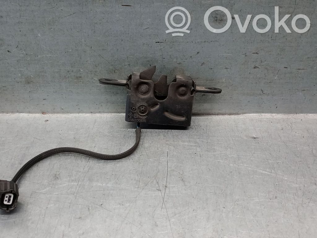Tie down hook / loop   656010010R,656013497R