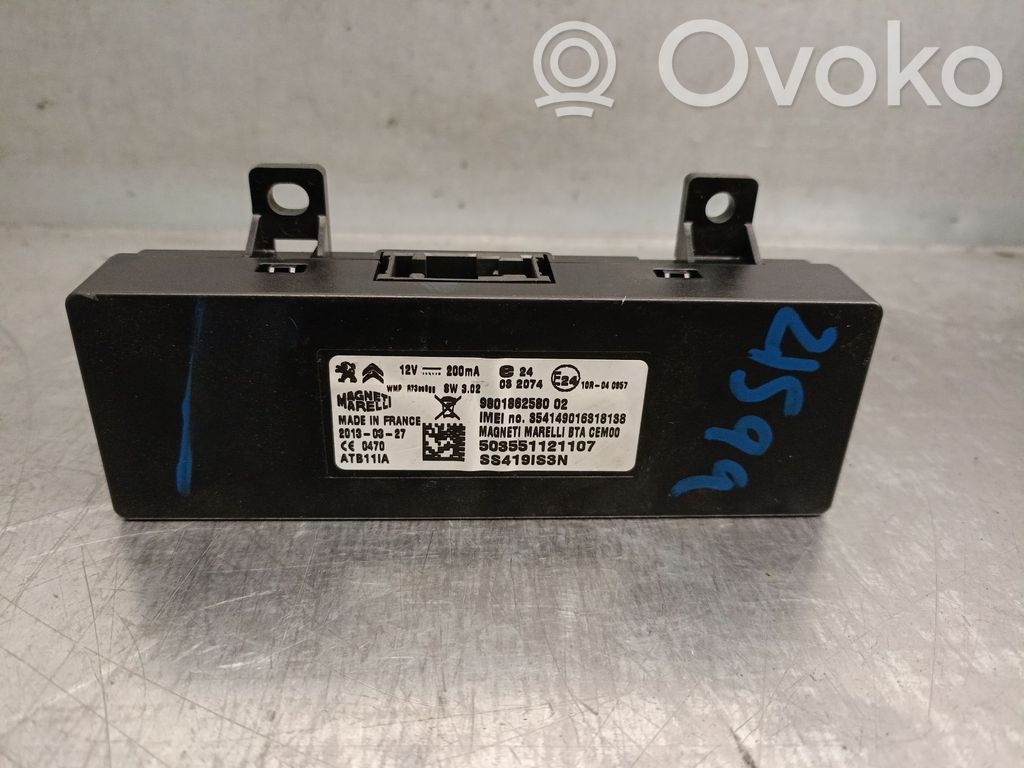 Alte unități/module de control   9801862580