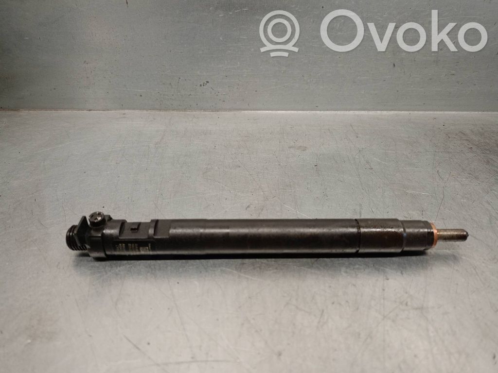 Injector combustibil   9686191080,EMBR00101D,DELPHI