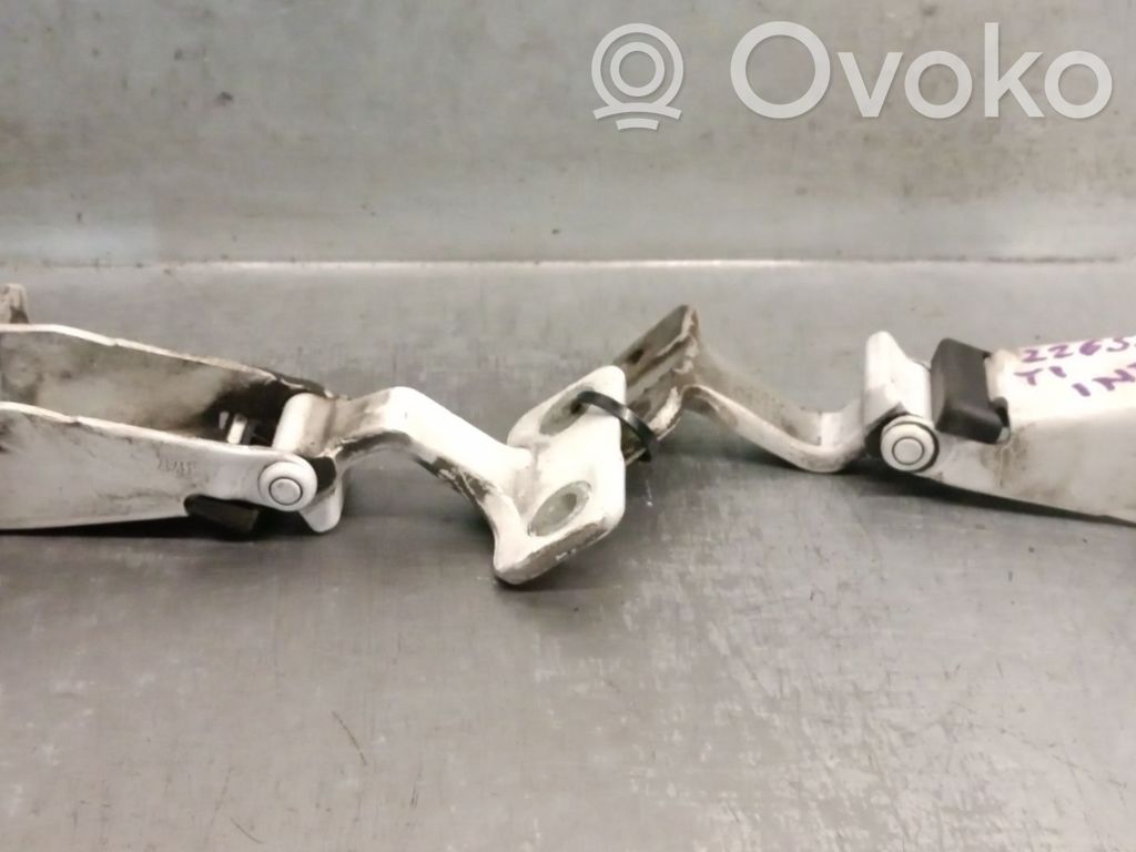 Renault Kangoo II Tailgate/trunk/boot hinge 