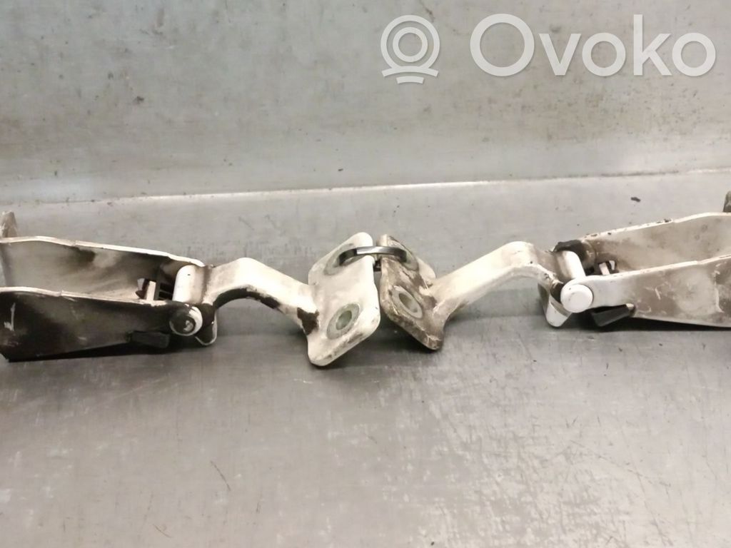 Renault Kangoo II Tailgate/trunk/boot hinge 