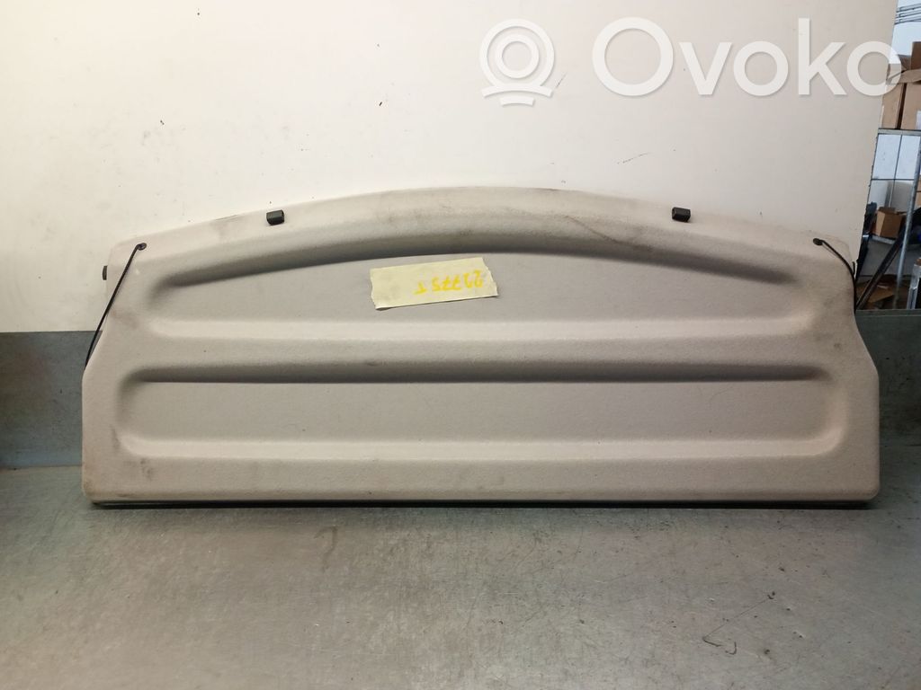 Renault Zoe Cappelliera 