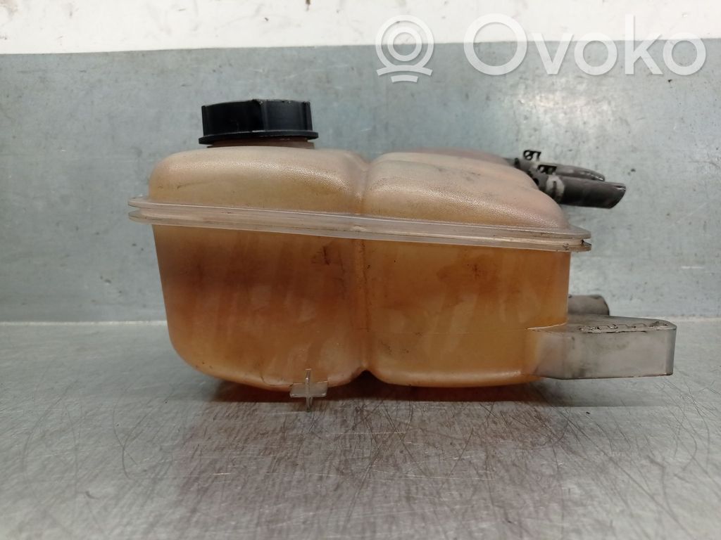 Ford Focus Kuro išsiplėtimo bakelis 