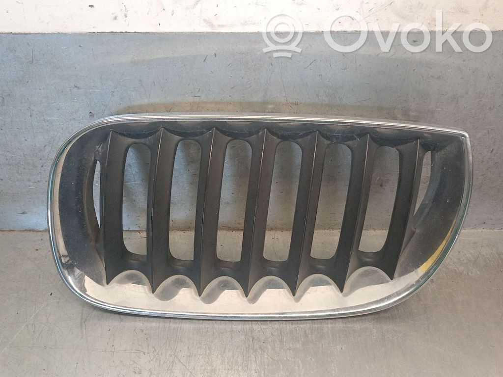 BMW X3 E83 Front grill 