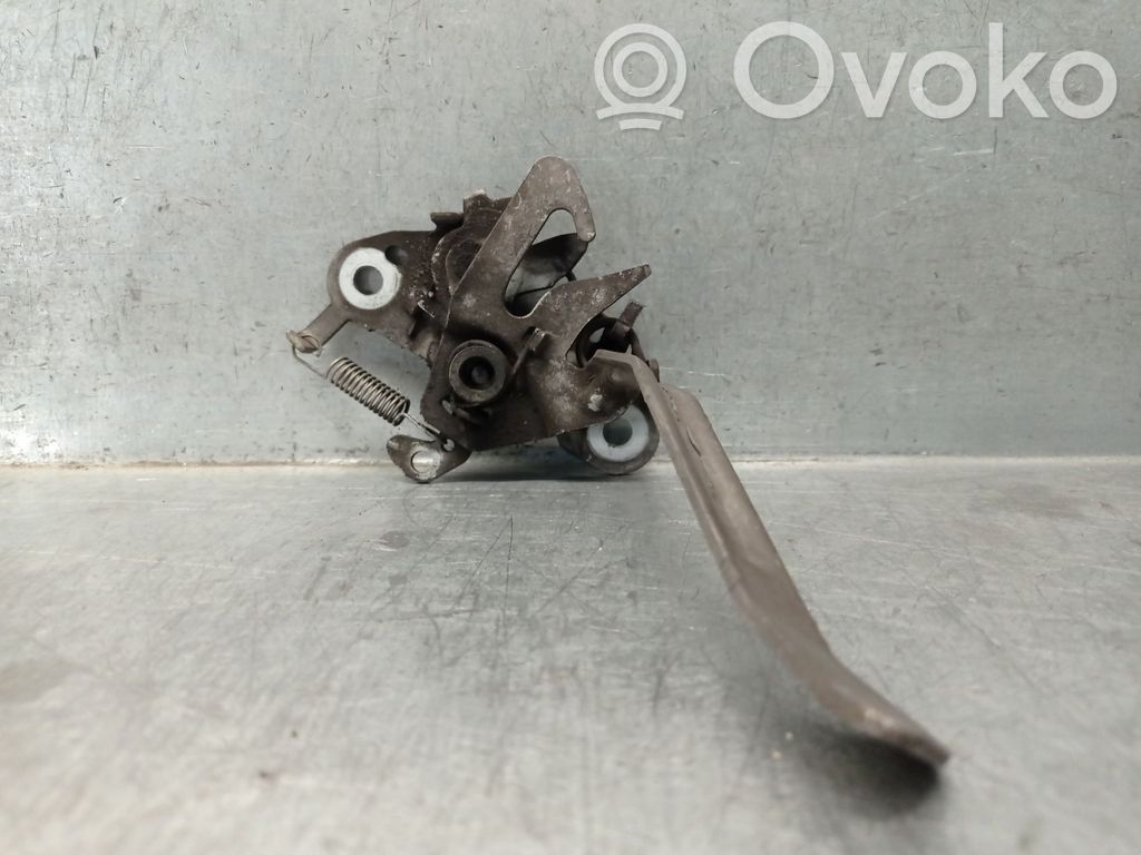 Tie down hook / loop   793492,793492