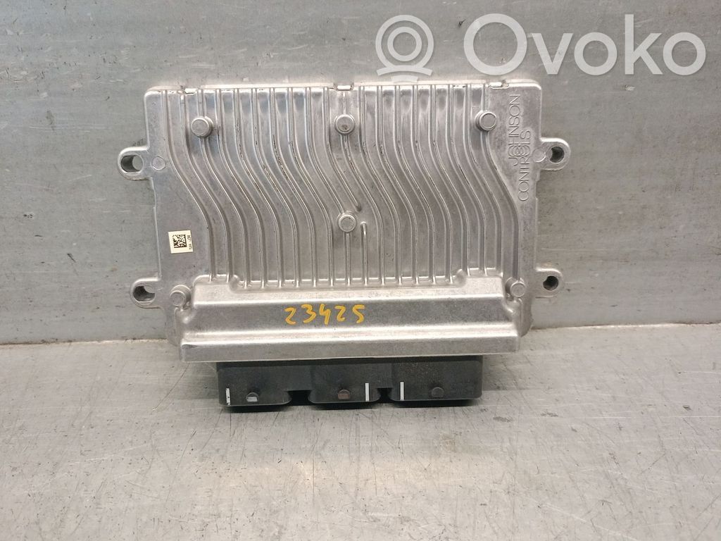 Engine control unit/module   SW9661700480,JOHNSONCONTROLS