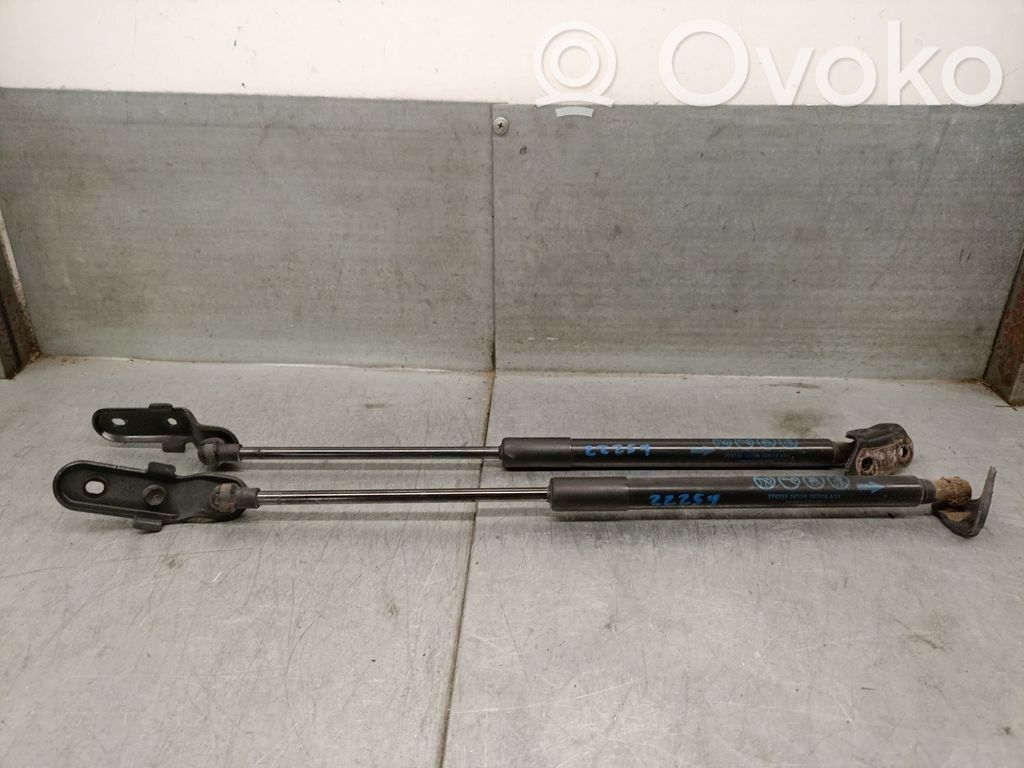 Toyota Yaris Amortizor hayon 