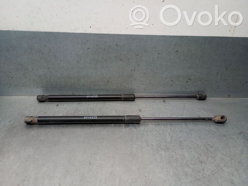 Citroen C4 II Picasso Ammortizzatore portellone posteriore/bagagliaio 