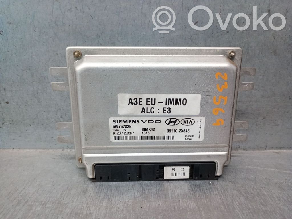 Sterownik / Moduł ECU   391102X546,5WY5703BSIEMENSVDO