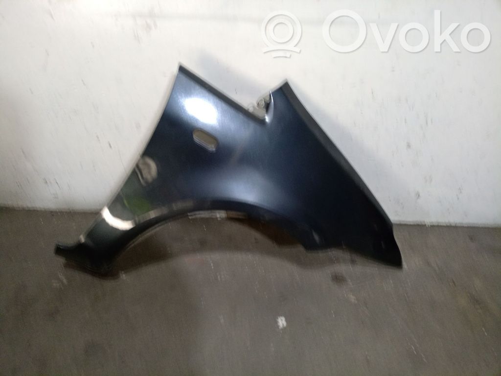 Ford Focus Guardabarro 