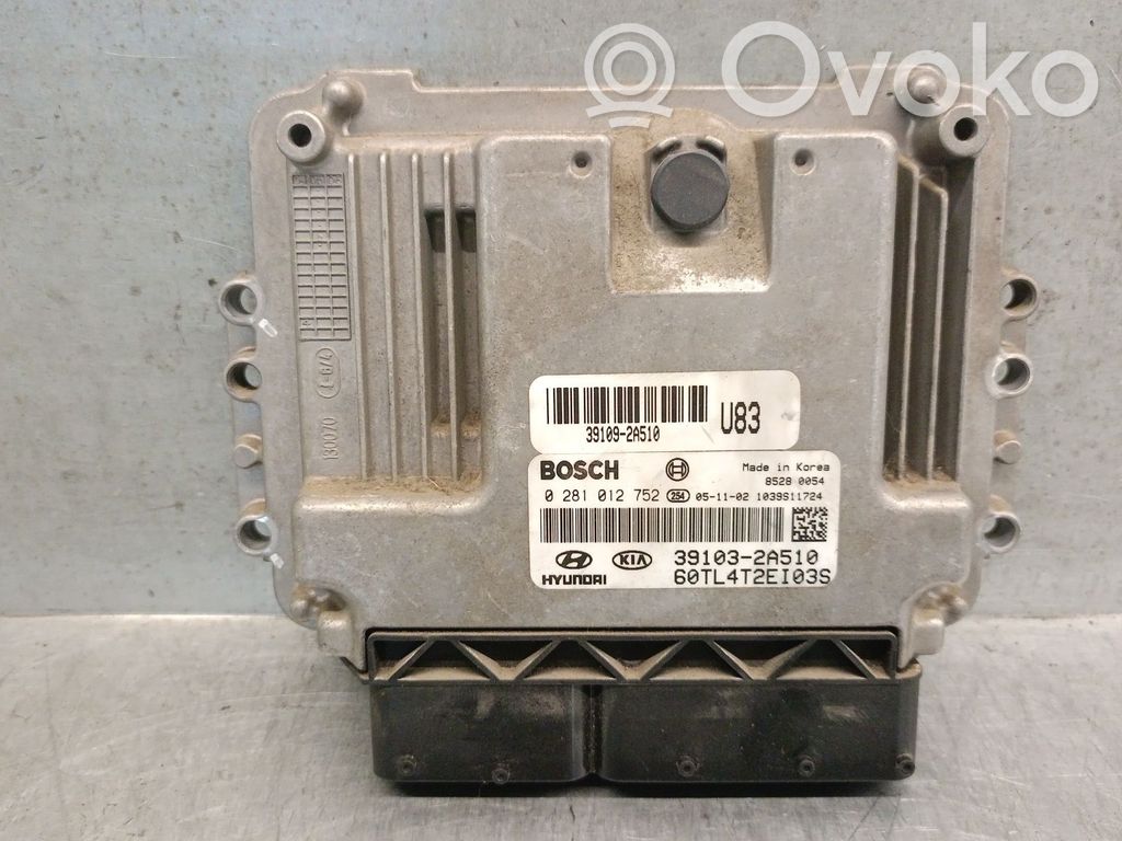 Hyundai Getz Engine control unit/module 