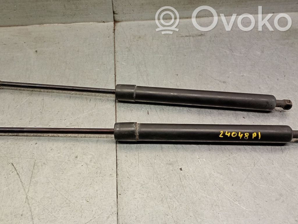 Renault Modus Tailgate/trunk strut/damper 