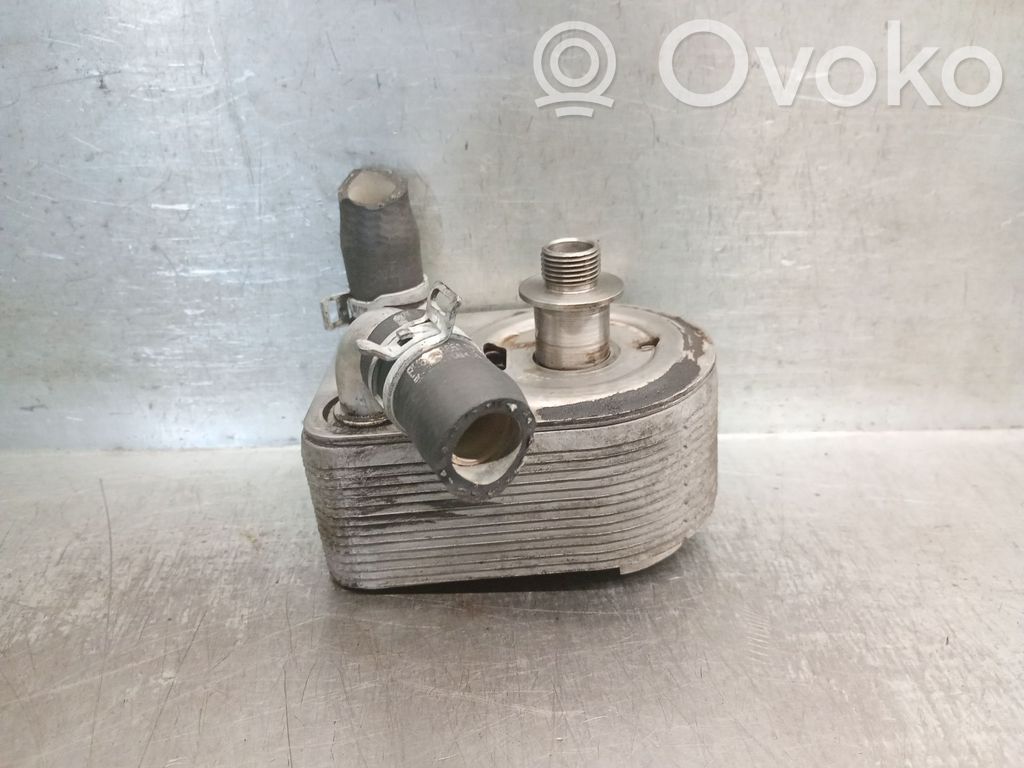 Ford Focus Ölkühler 