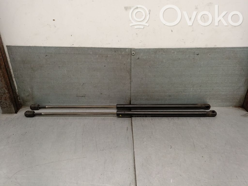 Ford Focus Tailgate/trunk strut/damper 