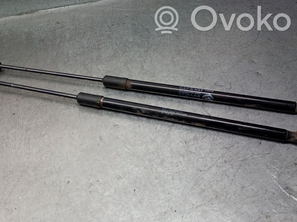 Citroen C5 Aircross Amortizor hayon