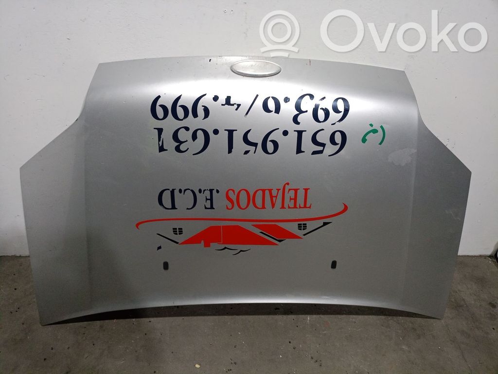 Ford Tourneo Engine bonnet/hood 