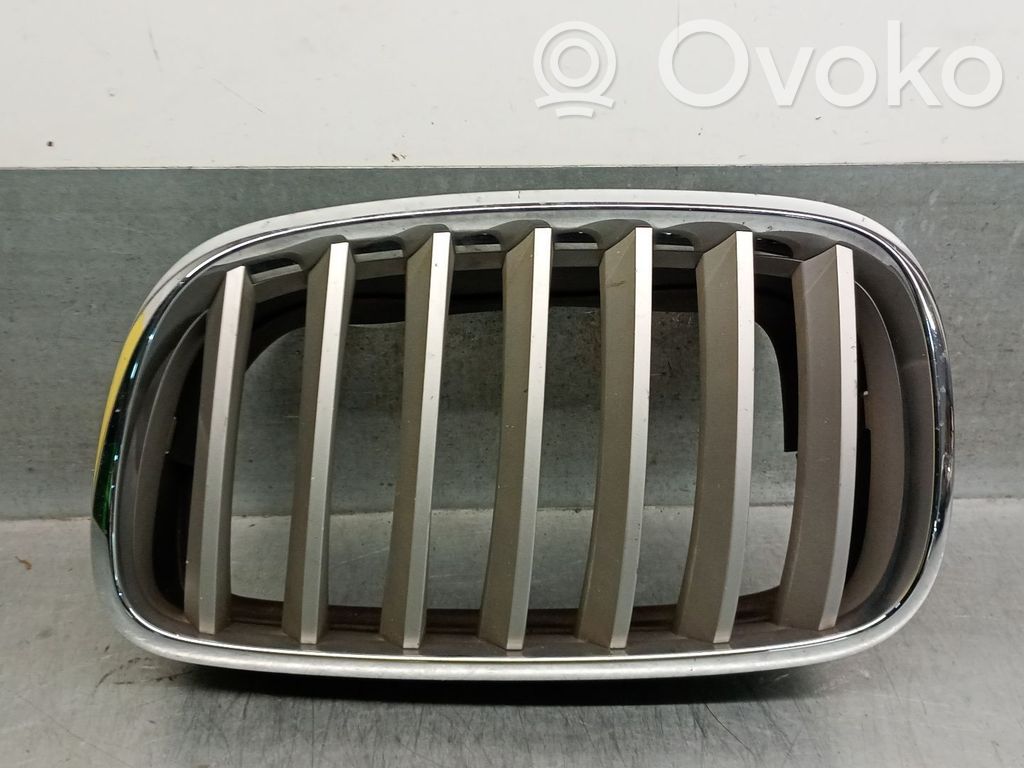 BMW X6 E71 Atrapa chłodnicy / Grill 