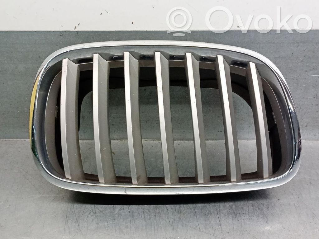 BMW X6 E71 Front grill 