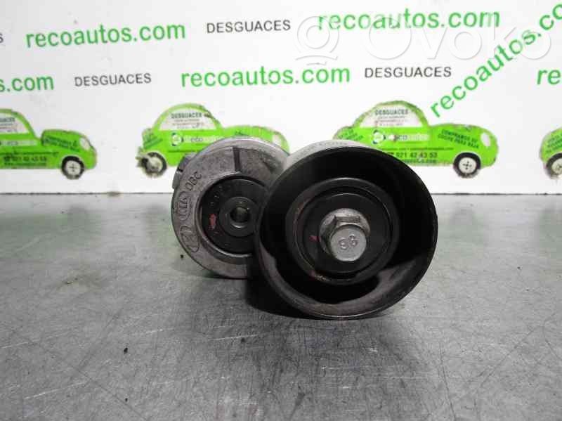 Napinacz paska alternatora   252814A000,PK080397