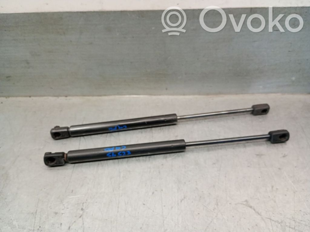 Land Rover Discovery Sport Ammortizzatore portellone anteriore/cofano