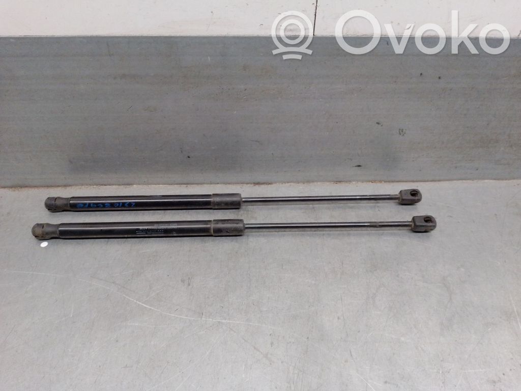 Jaguar XE Ammortizzatore portellone anteriore/cofano