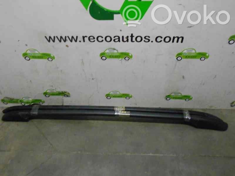 Peugeot 206 Barra del techo 