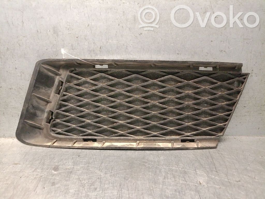 Griglia parafango   51117178991,51117178991